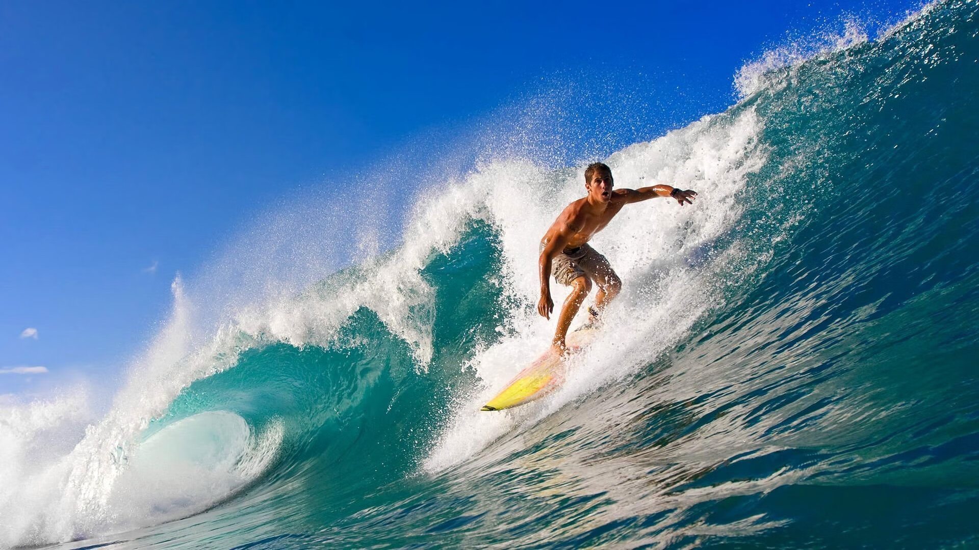 世界杯场外花絮 失恋球迷赛场求婚上演反转剧情