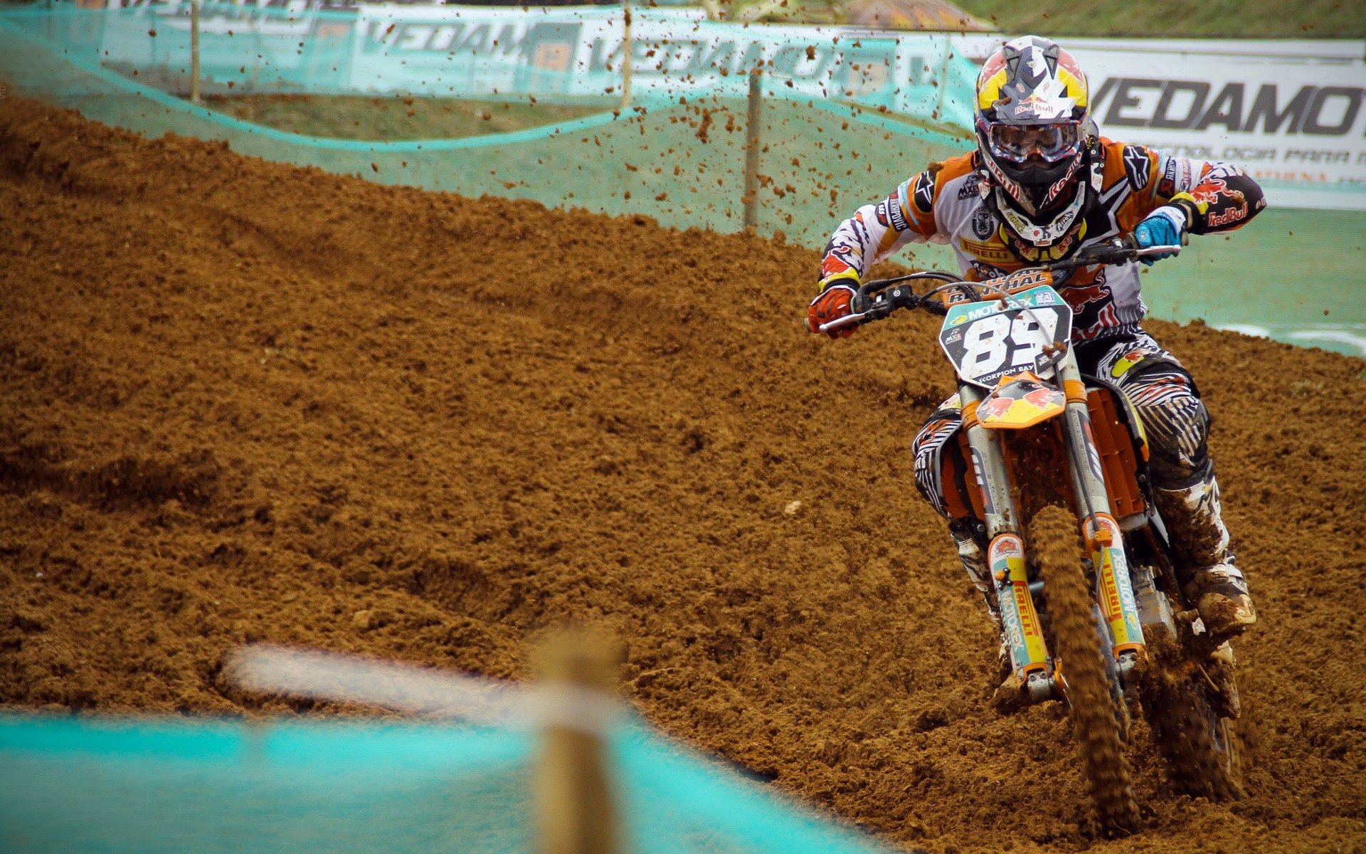 公园“无器械健身区”示范日 教练现场教学徒手训练